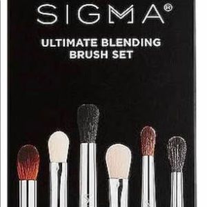 Sigma Blending Brush Set